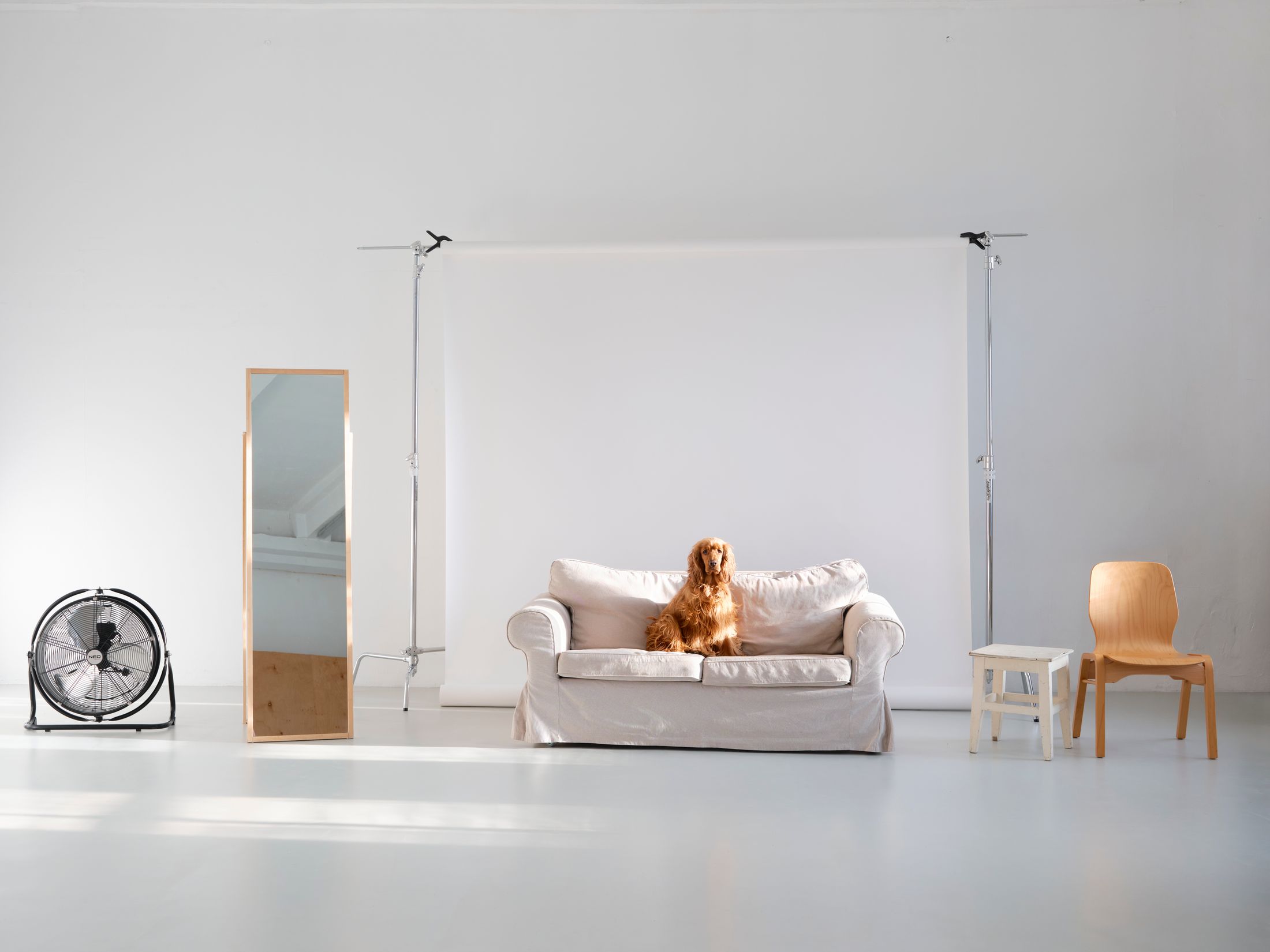 фотостудія для сімейної фотосесії київ esp 90 (2).jpg