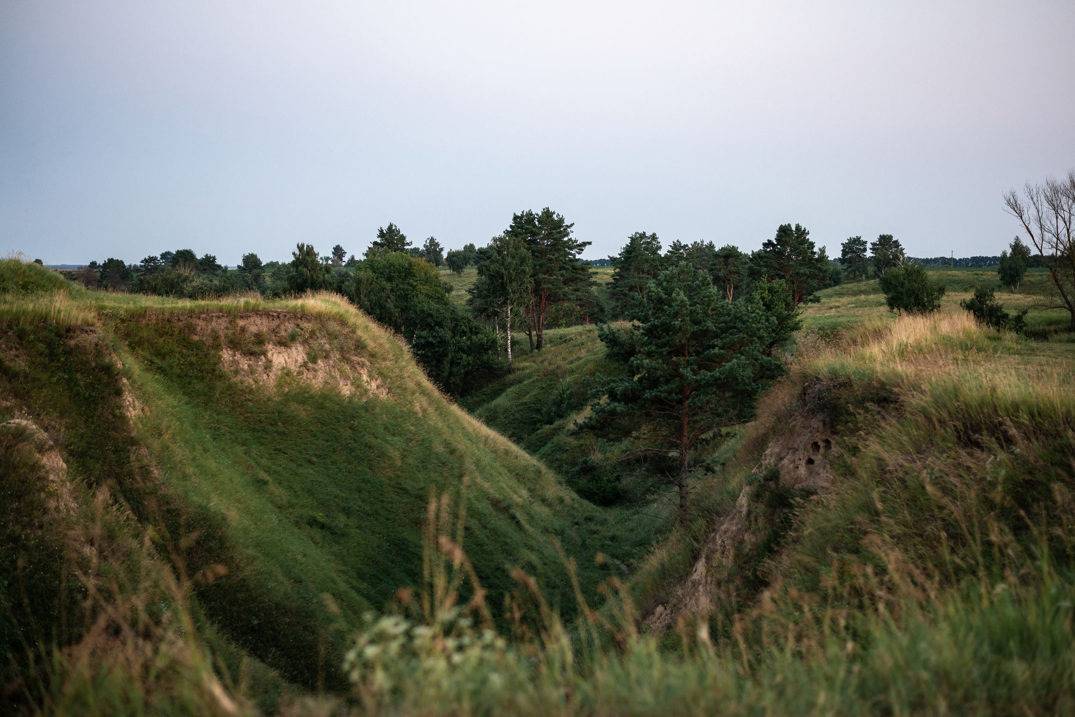 Васильківські Карпати - локація для сімейної фотосесії біля Києва