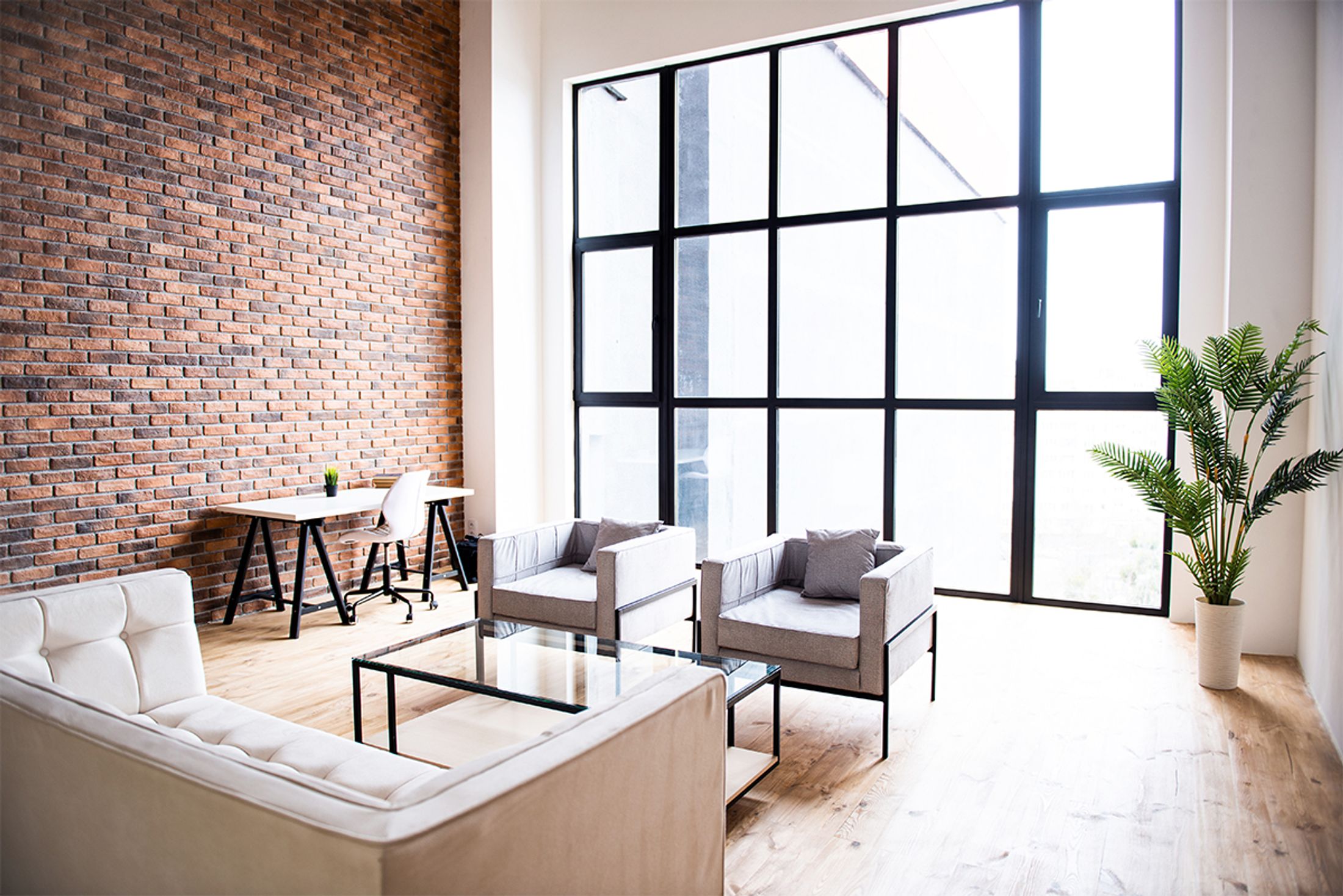 simeyna-fotosesiya-v-studii-vision-new-york (2).jpg