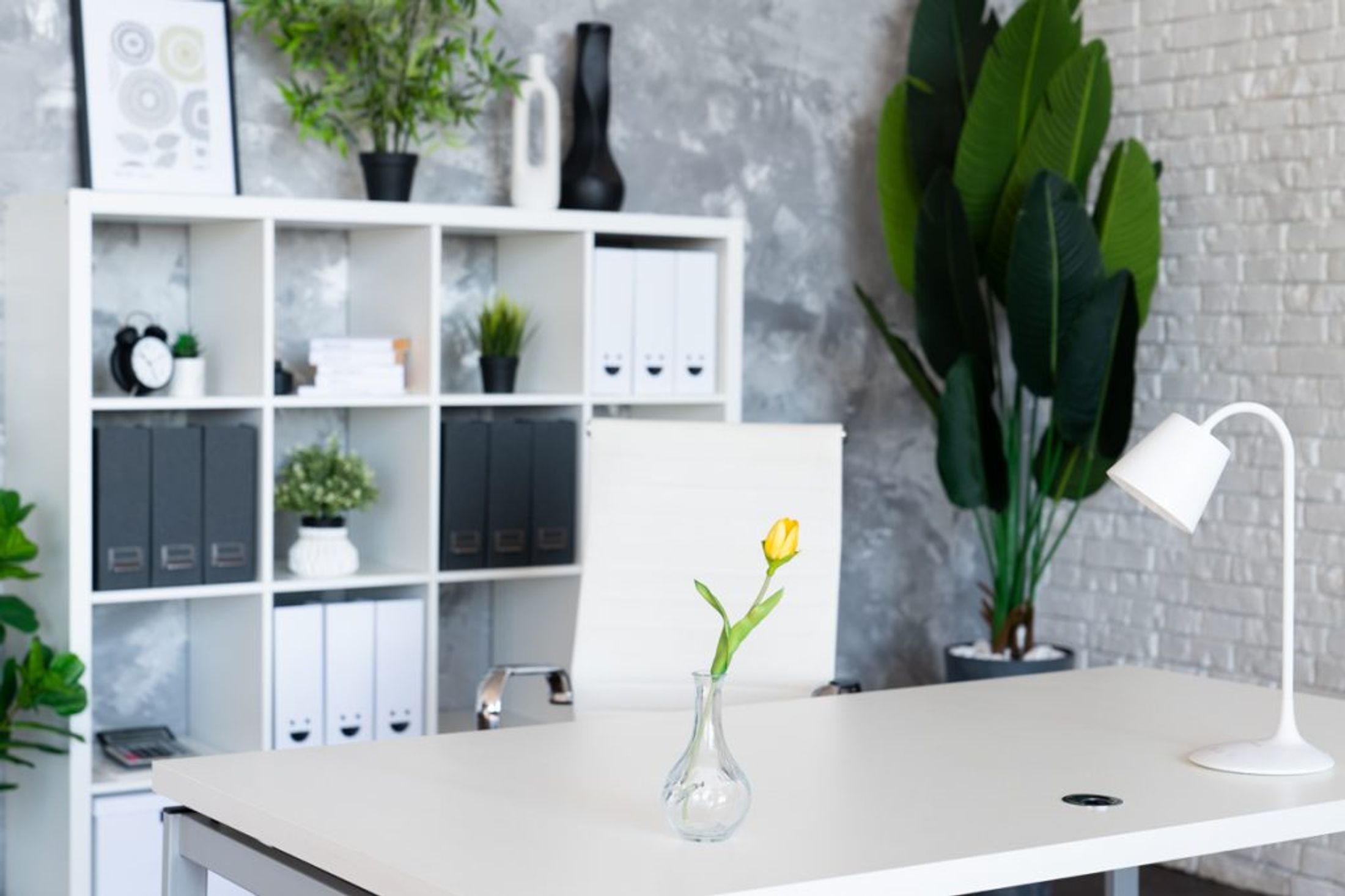 simeyna-fotosesiya-v-studii-vision (3).jpg