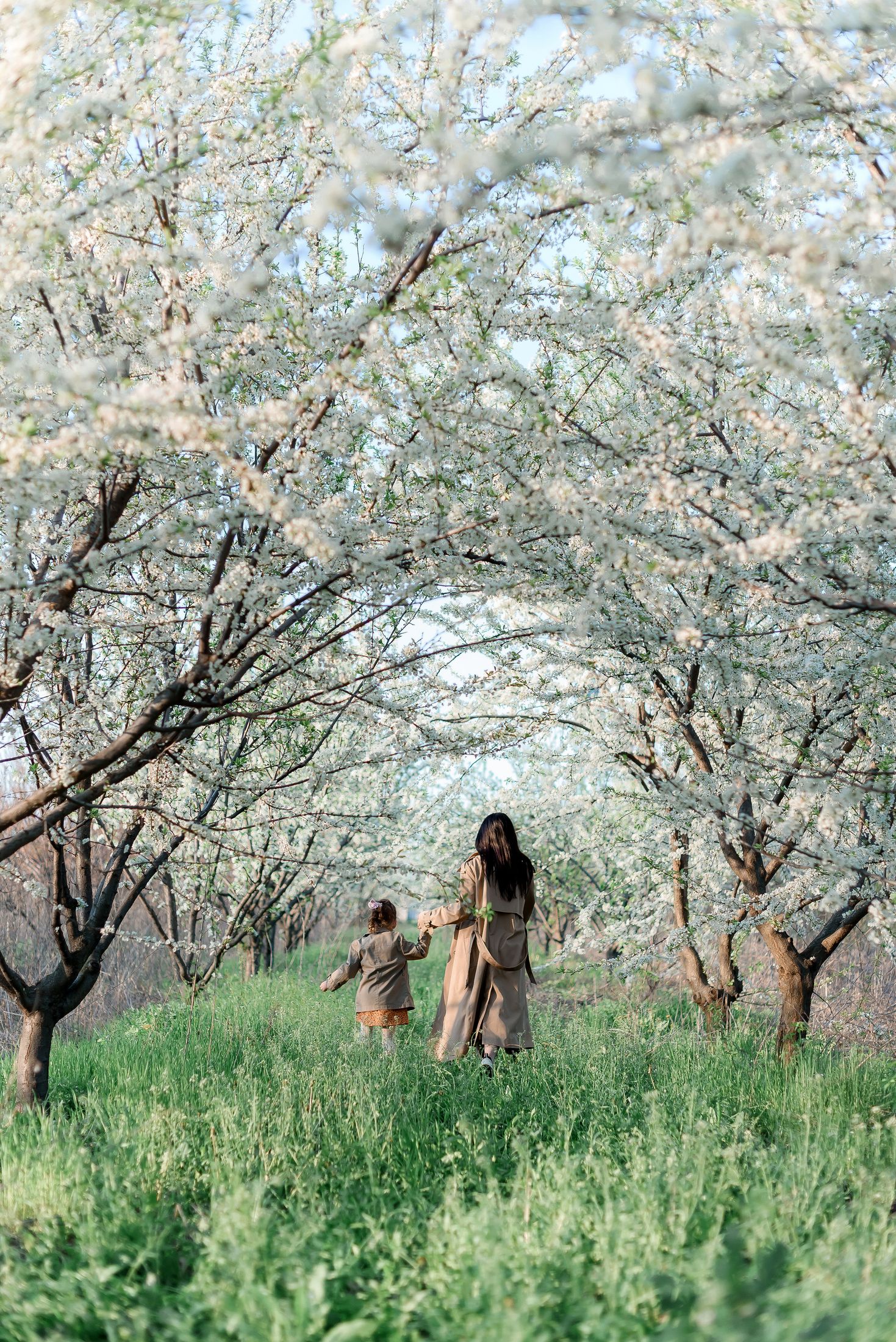 Фотосесія у квітучому саду