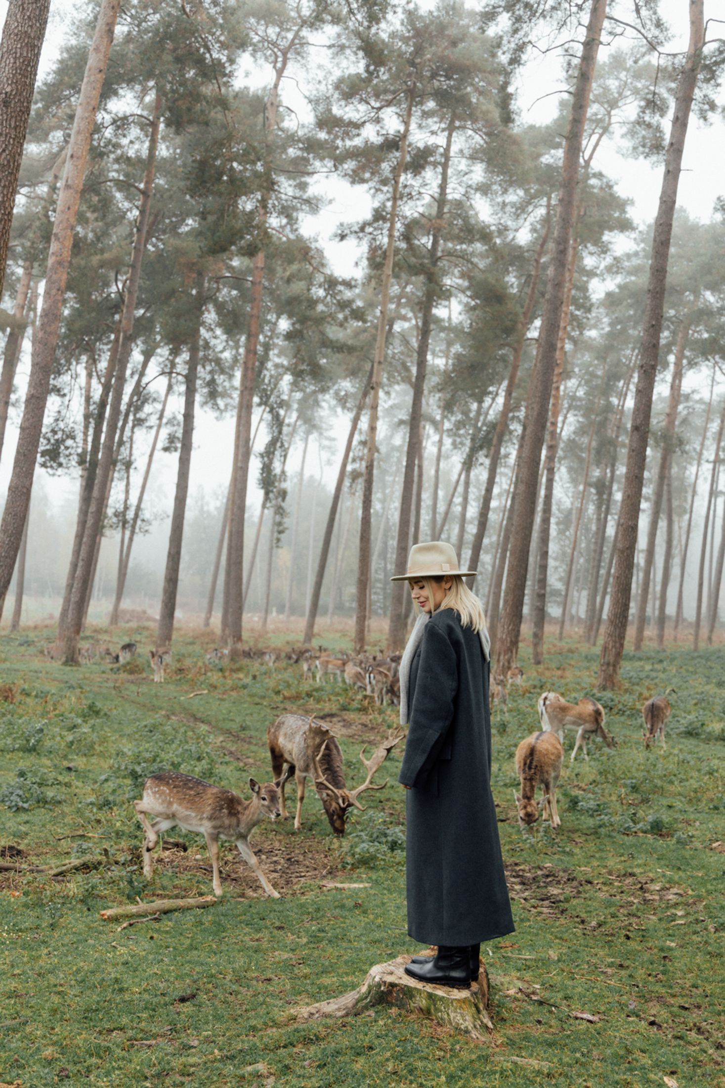 Masha & deer